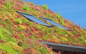 Nettlestone living roof systems
