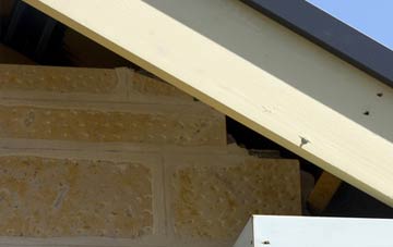soffit repair Nettlestone