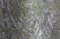 Nettlestone fibreglass roof work