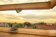 rated Nettlestone roof window companies
